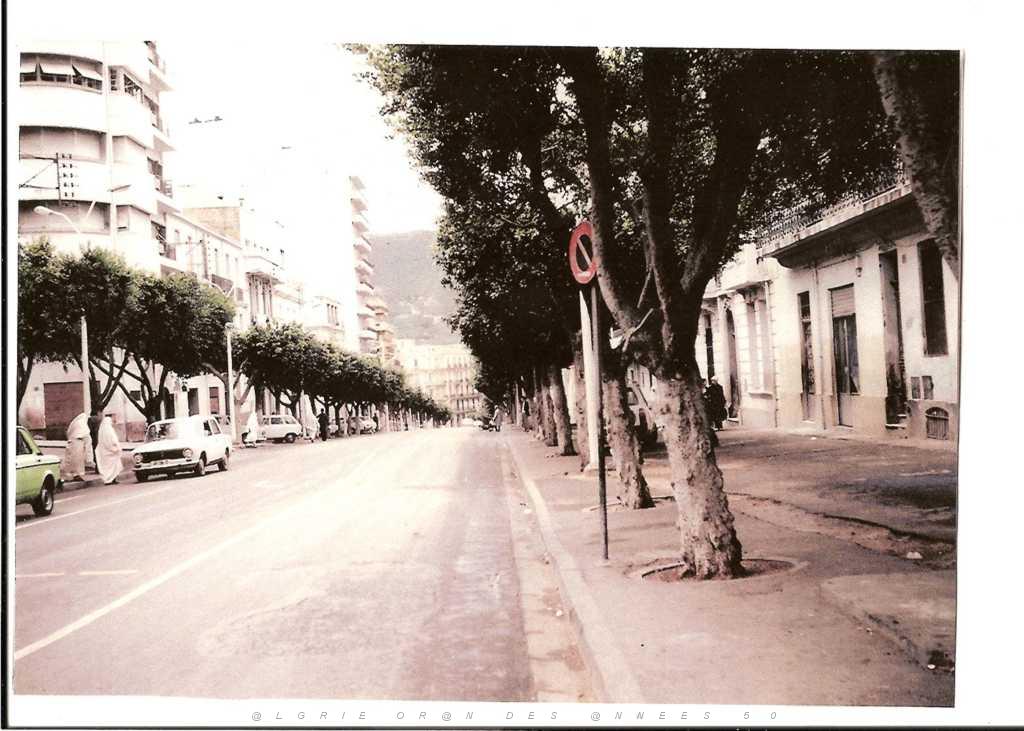 ORAN 1978 PLATEAU ST MICHEL BD FULTON.JPG